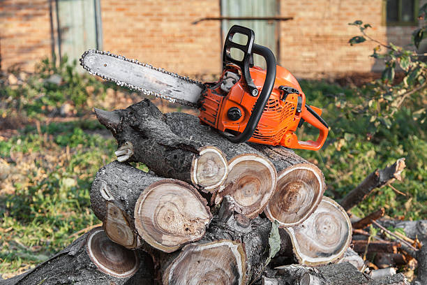 Best Tree Care Services  in Jonesville, NC